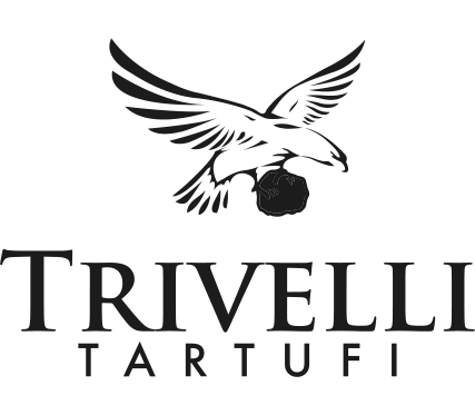 supplier-logo-trivelli